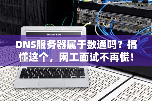 DNS服务器属于数通吗？搞懂这个，网工面试不再慌！