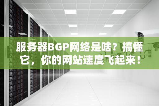 服务器BGP网络是啥？搞懂它，你的网站速度飞起来！