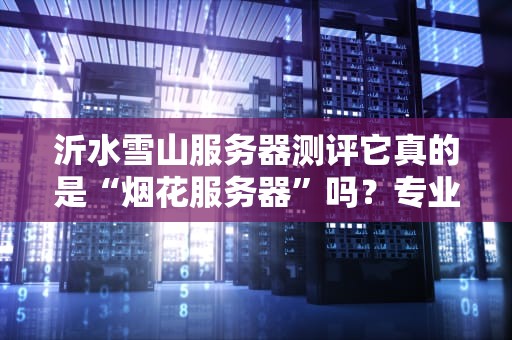 沂水雪山服务器测评它真的是“烟花服务器”吗？专业分析+避坑指南！