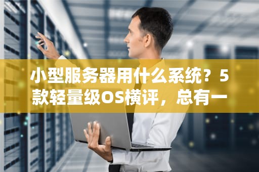 小型服务器用什么系统？5款轻量级OS横评，总有一款适合你的小钢炮！