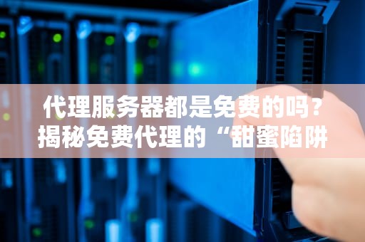 代理服务器都是免费的吗？揭秘免费代理的“甜蜜陷阱”与专业选择指南