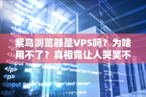 紫鸟浏览器是VPS吗？为啥用不了？真相竟让人哭笑不得！