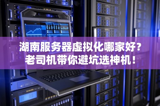 湖南服务器虚拟化哪家好？老司机带你避坑选神机！