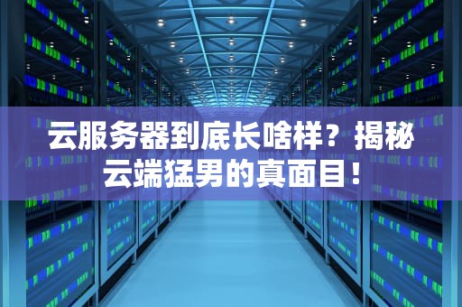 云服务器到底长啥样？揭秘云端猛男的真面目！