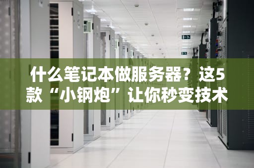 什么笔记本做服务器？这5款“小钢炮”让你秒变技术大神！