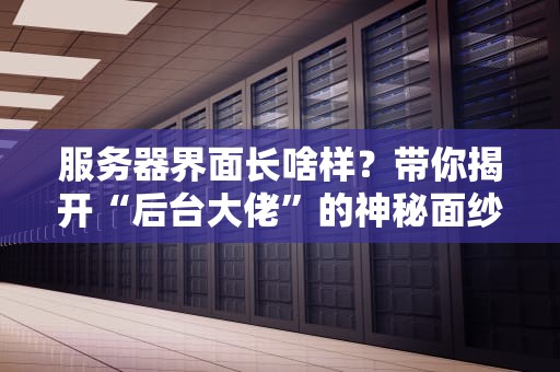 服务器界面长啥样？带你揭开“后台大佬”的神秘面纱！