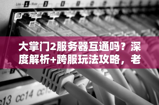 大掌门2服务器互通吗？深度解析+跨服玩法攻略，老司机带你飞！
