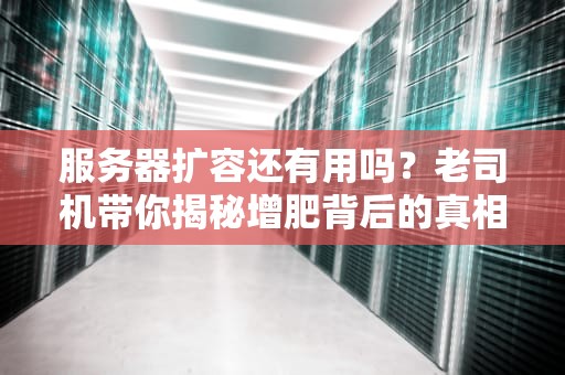 服务器扩容还有用吗？老司机带你揭秘增肥背后的真相！