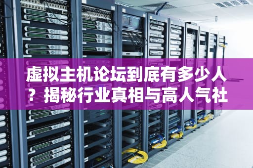 虚拟主机论坛到底有多少人？揭秘行业真相与高人气社区推荐！