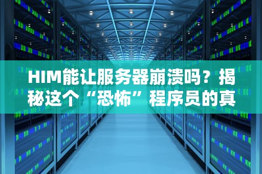 HIM能让服务器崩溃吗？揭秘这个“恐怖”程序员的真实威力！