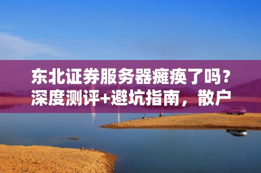 东北证券服务器瘫痪了吗？深度测评+避坑指南，散户必看！