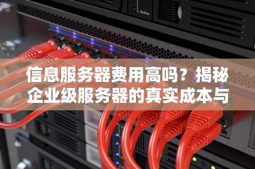 信息服务器费用高吗？揭秘企业级服务器的真实成本与省钱妙招！