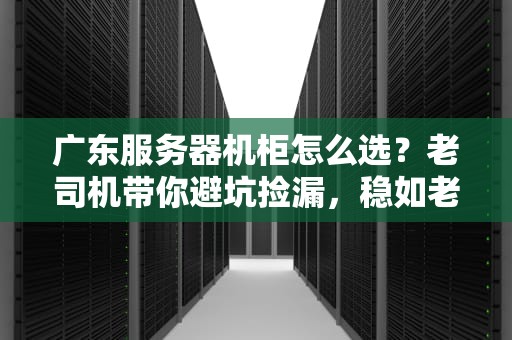 广东服务器机柜怎么选？老司机带你避坑捡漏，稳如老狗！
