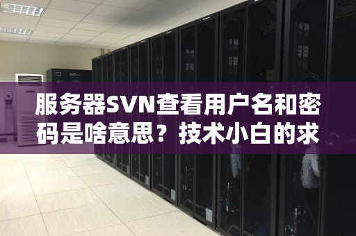 服务器SVN查看用户名和密码是啥意思？技术小白的求生指南！