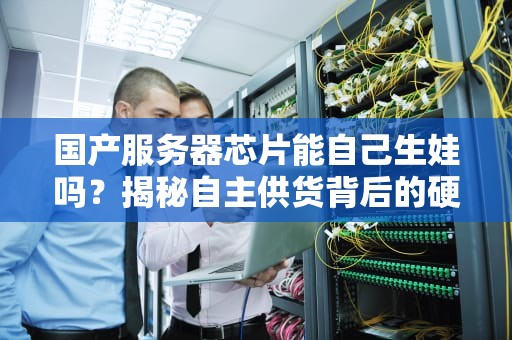 国产服务器芯片能自己生娃吗？揭秘自主供货背后的硬核真相！