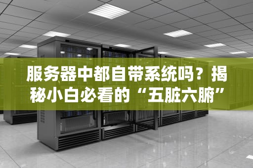 服务器中都自带系统吗？揭秘小白必看的“五脏六腑”冷知识！
