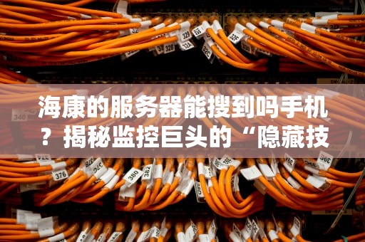 海康的服务器能搜到吗手机？揭秘监控巨头的“隐藏技能”与手机搜索真相！