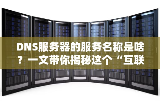 DNS服务器的服务名称是啥？一文带你揭秘这个“互联网翻译官”的身份证！