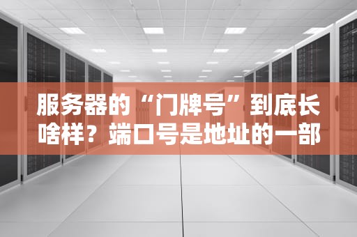服务器的“门牌号”到底长啥样？端口号是地址的一部分吗？