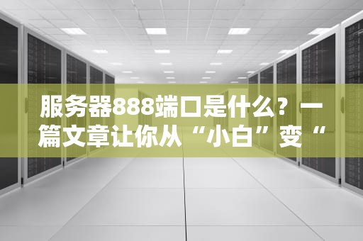 服务器888端口是什么？一篇文章让你从“小白”变“大神”！