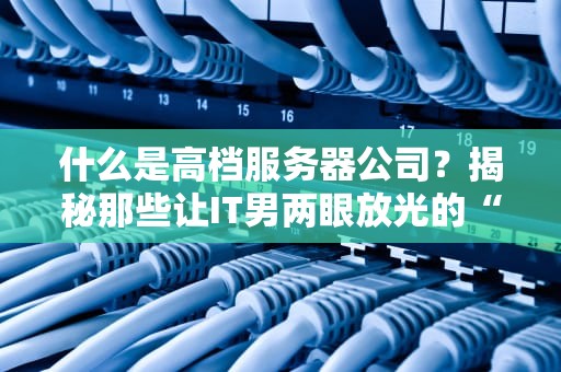 什么是高档服务器公司？揭秘那些让IT男两眼放光的“土豪装备”