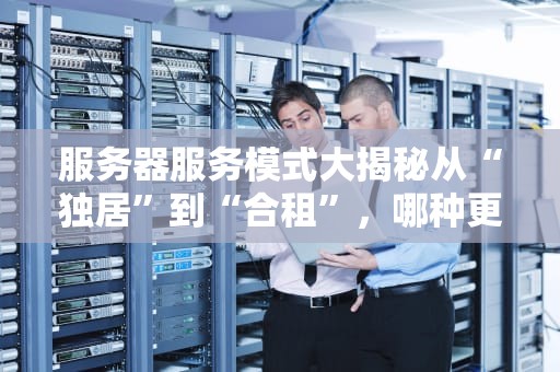 服务器服务模式大揭秘从“独居”到“合租”，哪种更适合你的业务？