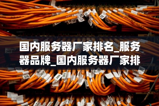 国内服务器厂家排名_服务器品牌_国内服务器厂家排名及其竞争力分析