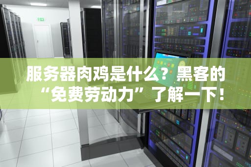 服务器肉鸡是什么？黑客的“免费劳动力”了解一下！