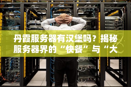 丹霞服务器有汉堡吗？揭秘服务器界的“快餐”与“大餐”选择！