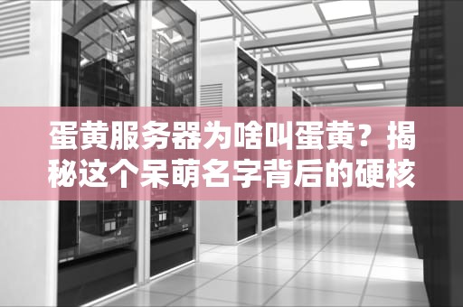 蛋黄服务器为啥叫蛋黄？揭秘这个呆萌名字背后的硬核真相！
