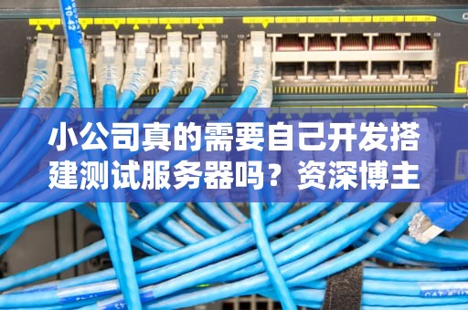 小公司真的需要自己开发搭建测试服务器吗？资深博主带你算清这笔账！