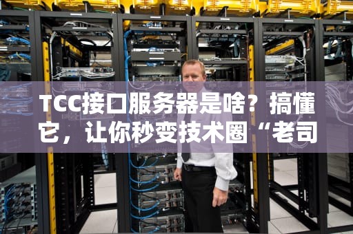TCC接口服务器是啥？搞懂它，让你秒变技术圈“老司机”！
