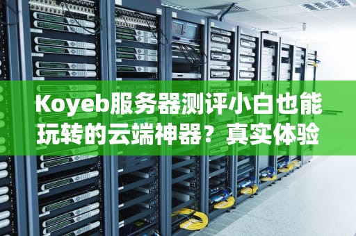 Koyeb服务器测评小白也能玩转的云端神器？真实体验大揭秘！