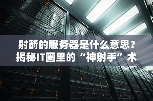 射箭的服务器是什么意思？揭秘IT圈里的“神射手”术语！