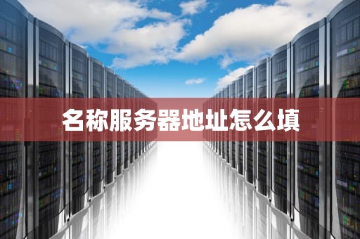名称服务器地址怎么填