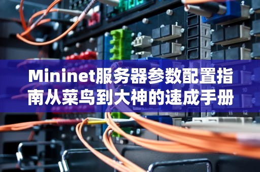 Mininet服务器参数配置指南从菜鸟到大神的速成手册！