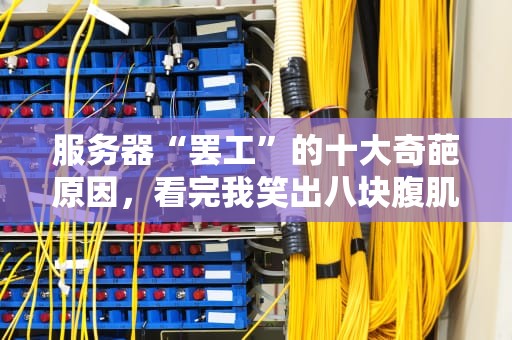 服务器“罢工”的十大奇葩原因，看完我笑出八块腹肌！
