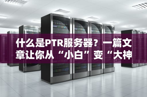 什么是PTR服务器？一篇文章让你从“小白”变“大神”！