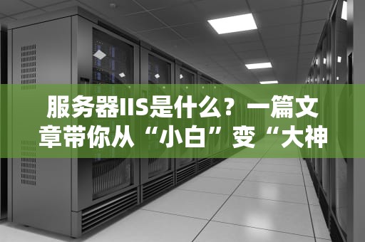 服务器IIS是什么？一篇文章带你从“小白”变“大神”！