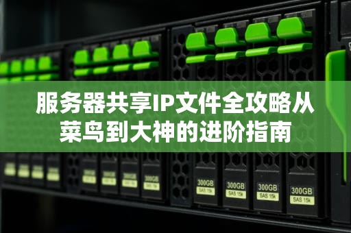 服务器共享IP文件全攻略从菜鸟到大神的进阶指南