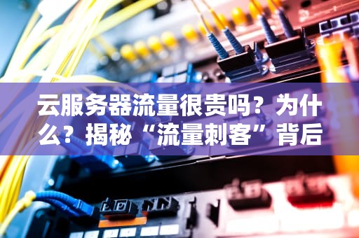 云服务器流量很贵吗？为什么？揭秘“流量刺客”背后的真相！