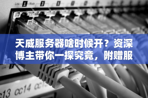 天威服务器啥时候开？资深博主带你一探究竟，附赠服务器蹲点指南！