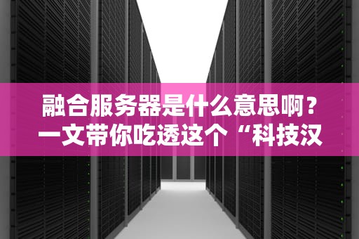 融合服务器是什么意思啊？一文带你吃透这个“科技汉堡包”！