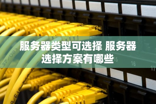 服务器类型可选择 服务器选择方案有哪些