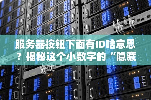 服务器按钮下面有ID啥意思？揭秘这个小数字的“隐藏任务”！