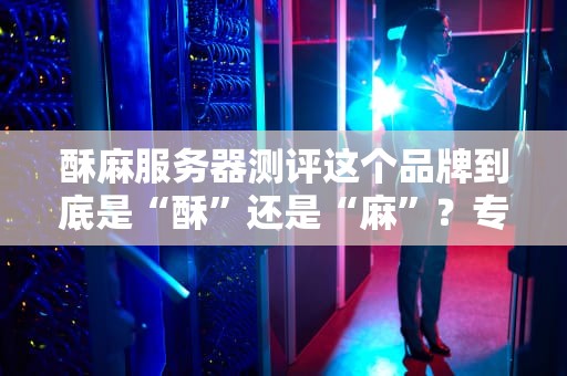 酥麻服务器测评这个品牌到底是“酥”还是“麻”？专业拆解+幽默吐槽