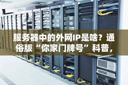 服务器中的外网IP是啥？通俗版“你家门牌号”科普，看完秒变网络老司机！
