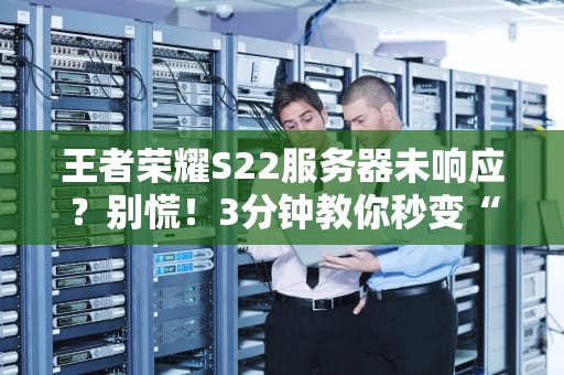 王者荣耀S22服务器未响应？别慌！3分钟教你秒变“网络福尔摩斯”