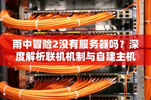 雨中冒险2没有服务器吗？深度解析联机机制与自建主机攻略