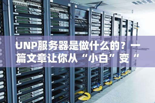 UNP服务器是做什么的？一篇文章让你从“小白”变“懂王”！